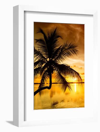 Palm Paradise at Sunset - Florida - USA-Philippe Hugonnard-Framed Photographic Print