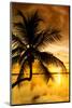 Palm Paradise at Sunset - Florida - USA-Philippe Hugonnard-Mounted Photographic Print