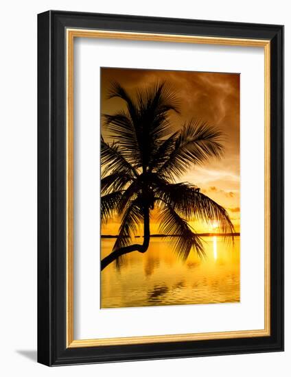 Palm Paradise at Sunset - Florida - USA-Philippe Hugonnard-Framed Photographic Print