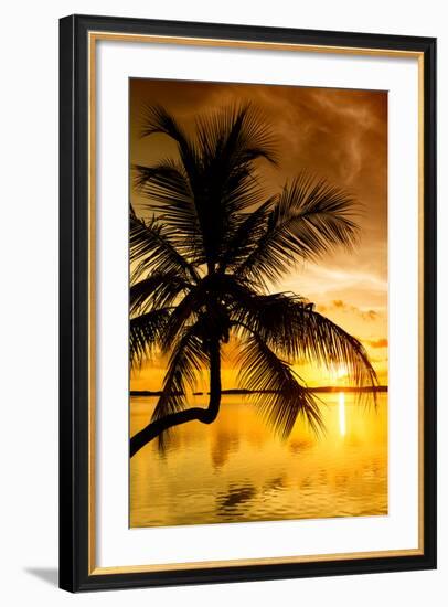 Palm Paradise at Sunset - Florida - USA-Philippe Hugonnard-Framed Photographic Print