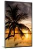 Palm Paradise at Sunset - Florida - USA-Philippe Hugonnard-Mounted Photographic Print