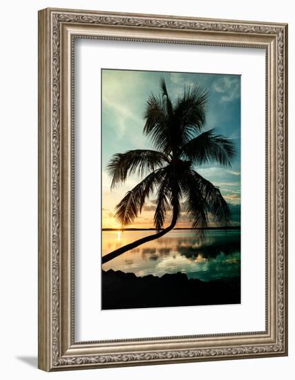 Palm Paradise at Sunset - Florida - USA-Philippe Hugonnard-Framed Photographic Print