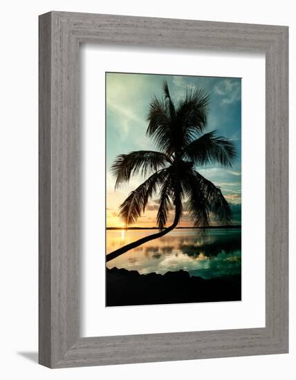 Palm Paradise at Sunset - Florida - USA-Philippe Hugonnard-Framed Photographic Print