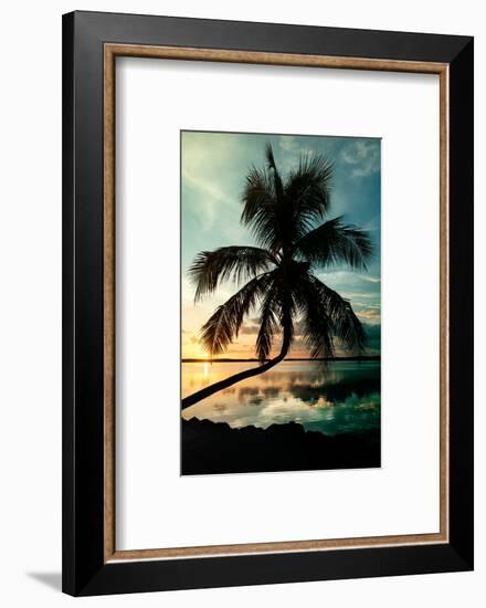 Palm Paradise at Sunset - Florida - USA-Philippe Hugonnard-Framed Photographic Print