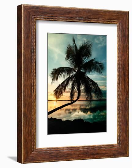 Palm Paradise at Sunset - Florida - USA-Philippe Hugonnard-Framed Photographic Print