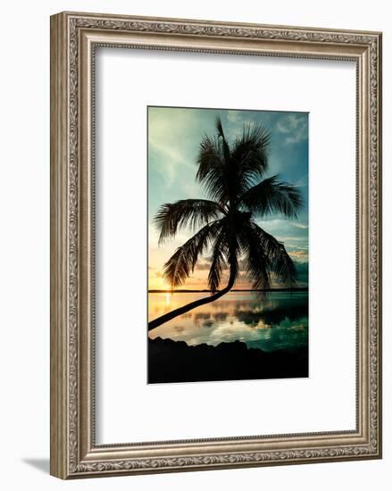 Palm Paradise at Sunset - Florida - USA-Philippe Hugonnard-Framed Photographic Print