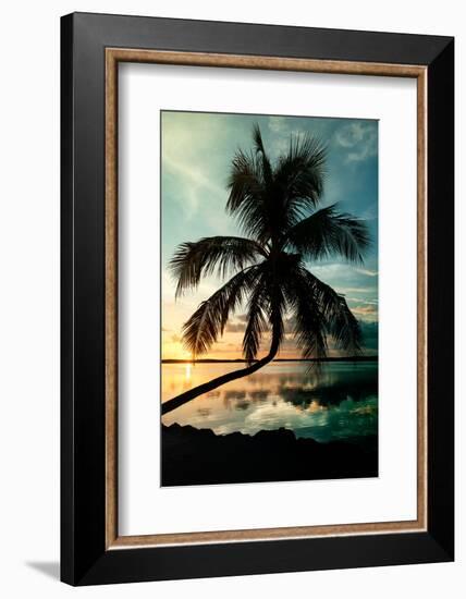 Palm Paradise at Sunset - Florida - USA-Philippe Hugonnard-Framed Photographic Print