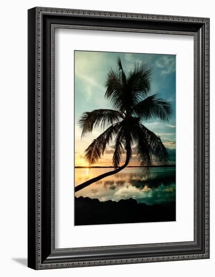 Palm Paradise at Sunset - Florida - USA-Philippe Hugonnard-Framed Photographic Print