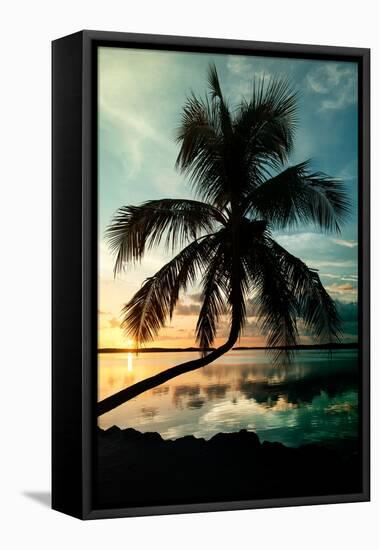 Palm Paradise at Sunset - Florida - USA-Philippe Hugonnard-Framed Premier Image Canvas