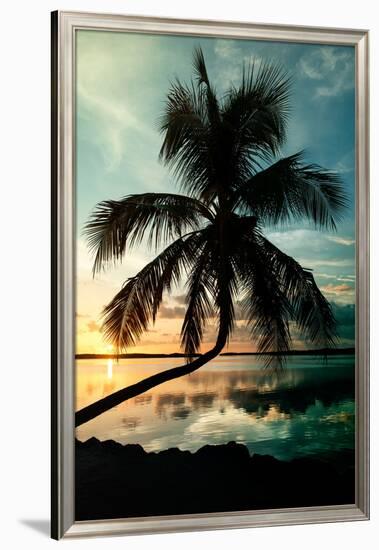 Palm Paradise at Sunset - Florida - USA-Philippe Hugonnard-Framed Photographic Print