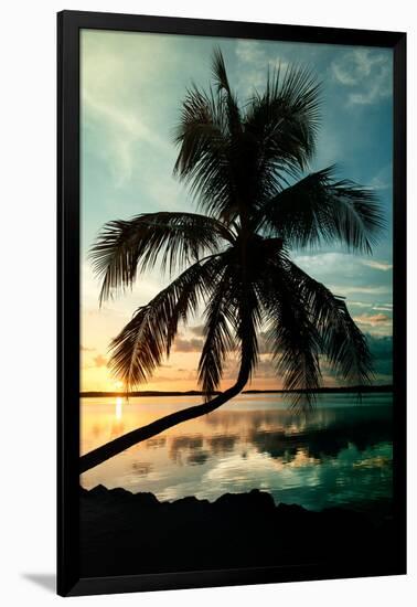 Palm Paradise at Sunset - Florida - USA-Philippe Hugonnard-Framed Photographic Print