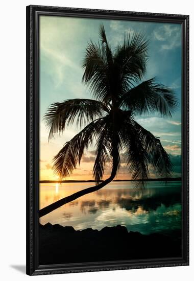 Palm Paradise at Sunset - Florida - USA-Philippe Hugonnard-Framed Photographic Print