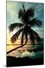 Palm Paradise at Sunset - Florida - USA-Philippe Hugonnard-Mounted Premium Photographic Print