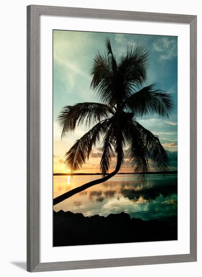 Palm Paradise at Sunset - Florida - USA-Philippe Hugonnard-Framed Photographic Print