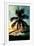 Palm Paradise at Sunset - Florida - USA-Philippe Hugonnard-Framed Photographic Print