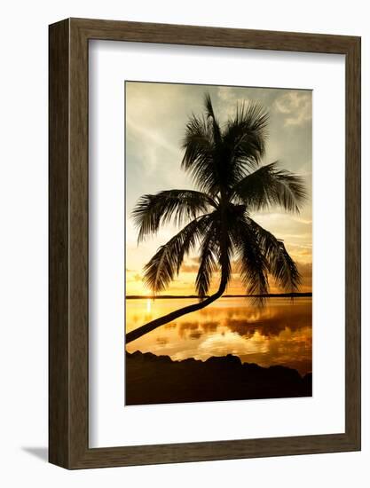 Palm Paradise at Sunset - Florida - USA-Philippe Hugonnard-Framed Photographic Print