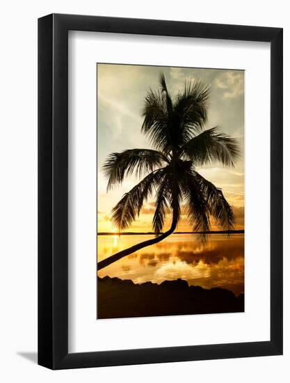 Palm Paradise at Sunset - Florida - USA-Philippe Hugonnard-Framed Photographic Print