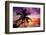 Palm Paradise at Sunset - Florida - USA-Philippe Hugonnard-Framed Photographic Print