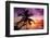 Palm Paradise at Sunset - Florida - USA-Philippe Hugonnard-Framed Photographic Print