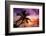 Palm Paradise at Sunset - Florida - USA-Philippe Hugonnard-Framed Photographic Print