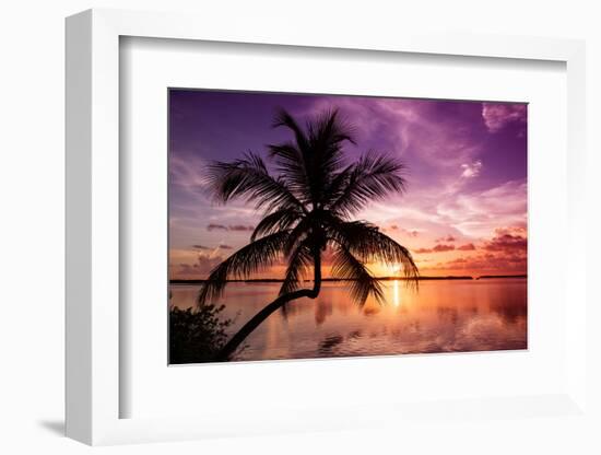 Palm Paradise at Sunset - Florida - USA-Philippe Hugonnard-Framed Photographic Print