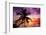 Palm Paradise at Sunset - Florida - USA-Philippe Hugonnard-Framed Photographic Print