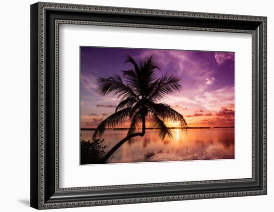 Palm Paradise at Sunset - Florida - USA-Philippe Hugonnard-Framed Photographic Print