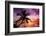 Palm Paradise at Sunset - Florida - USA-Philippe Hugonnard-Framed Photographic Print