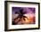 Palm Paradise at Sunset - Florida - USA-Philippe Hugonnard-Framed Photographic Print