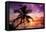 Palm Paradise at Sunset - Florida - USA-Philippe Hugonnard-Framed Premier Image Canvas