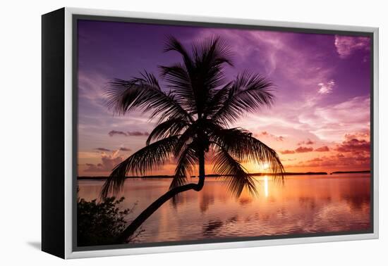 Palm Paradise at Sunset - Florida - USA-Philippe Hugonnard-Framed Premier Image Canvas