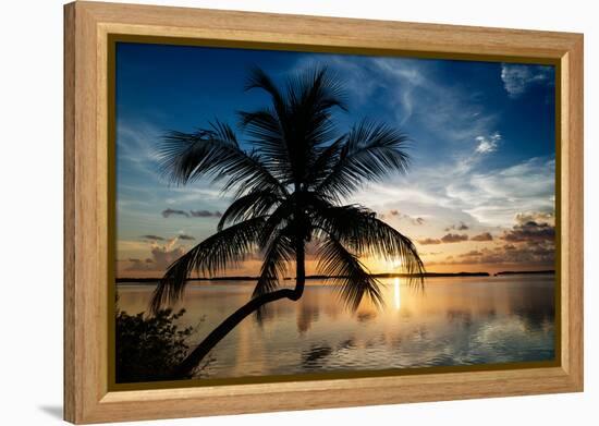 Palm Paradise at Sunset - Florida - USA-Philippe Hugonnard-Framed Premier Image Canvas