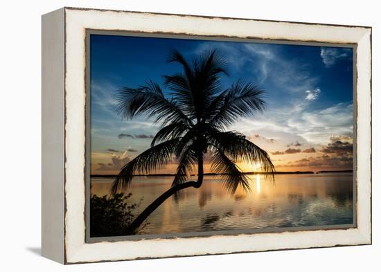 Palm Paradise at Sunset - Florida - USA-Philippe Hugonnard-Framed Premier Image Canvas