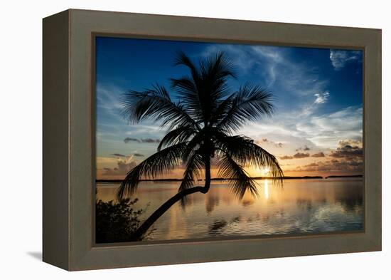 Palm Paradise at Sunset - Florida - USA-Philippe Hugonnard-Framed Premier Image Canvas