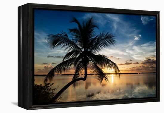 Palm Paradise at Sunset - Florida - USA-Philippe Hugonnard-Framed Premier Image Canvas