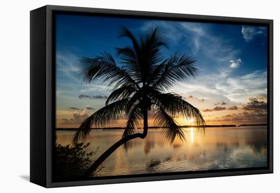 Palm Paradise at Sunset - Florida - USA-Philippe Hugonnard-Framed Premier Image Canvas