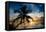 Palm Paradise at Sunset - Florida - USA-Philippe Hugonnard-Framed Premier Image Canvas