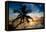 Palm Paradise at Sunset - Florida - USA-Philippe Hugonnard-Framed Premier Image Canvas