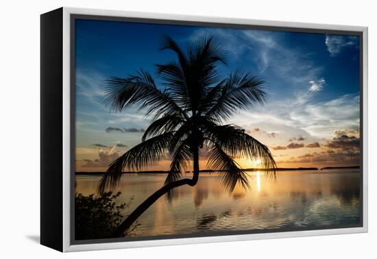 Palm Paradise at Sunset - Florida - USA-Philippe Hugonnard-Framed Premier Image Canvas
