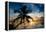 Palm Paradise at Sunset - Florida - USA-Philippe Hugonnard-Framed Premier Image Canvas