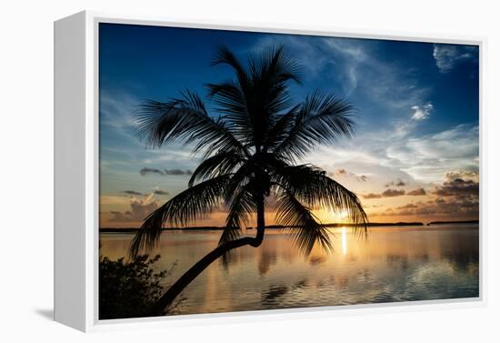 Palm Paradise at Sunset - Florida - USA-Philippe Hugonnard-Framed Premier Image Canvas