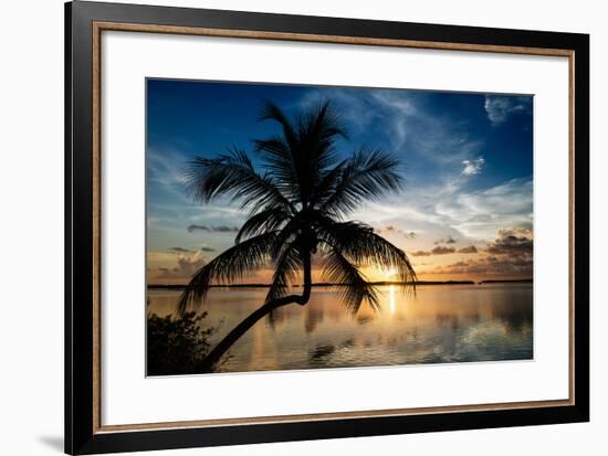 Palm Paradise at Sunset - Florida - USA-Philippe Hugonnard-Framed Premium Photographic Print