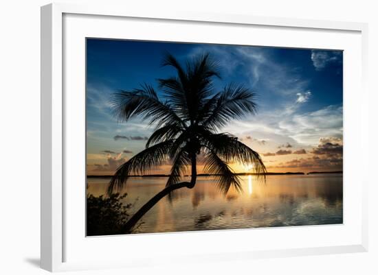 Palm Paradise at Sunset - Florida - USA-Philippe Hugonnard-Framed Premium Photographic Print