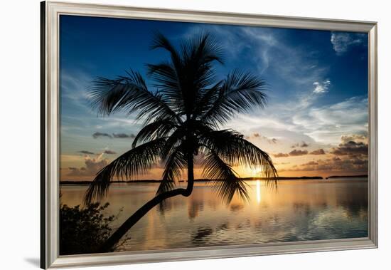 Palm Paradise at Sunset - Florida - USA-Philippe Hugonnard-Framed Photographic Print