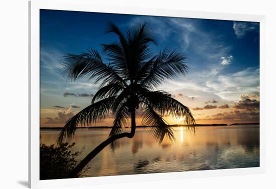 Palm Paradise at Sunset - Florida - USA-Philippe Hugonnard-Framed Photographic Print