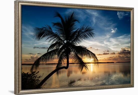 Palm Paradise at Sunset - Florida - USA-Philippe Hugonnard-Framed Photographic Print