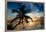 Palm Paradise at Sunset - Florida - USA-Philippe Hugonnard-Framed Photographic Print