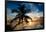 Palm Paradise at Sunset - Florida - USA-Philippe Hugonnard-Framed Photographic Print