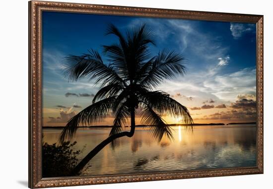 Palm Paradise at Sunset - Florida - USA-Philippe Hugonnard-Framed Premium Photographic Print