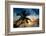 Palm Paradise at Sunset - Florida - USA-Philippe Hugonnard-Framed Photographic Print